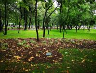 Imagine atasata: Parcul Central - 2019.08.03 - 18.jpg